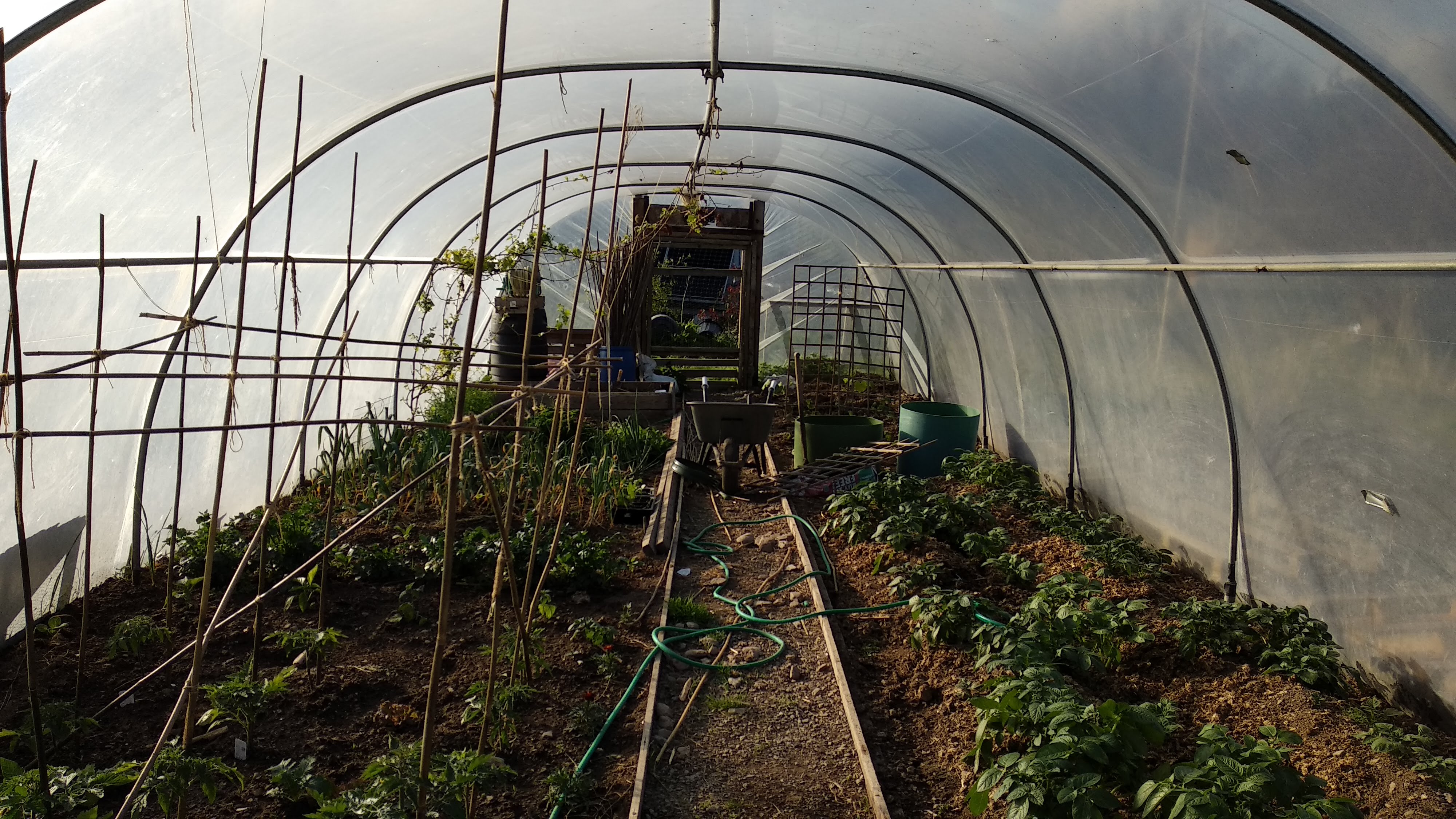 Poly Tunnel
