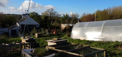 House, Poly Tunnel & Chicken Houses