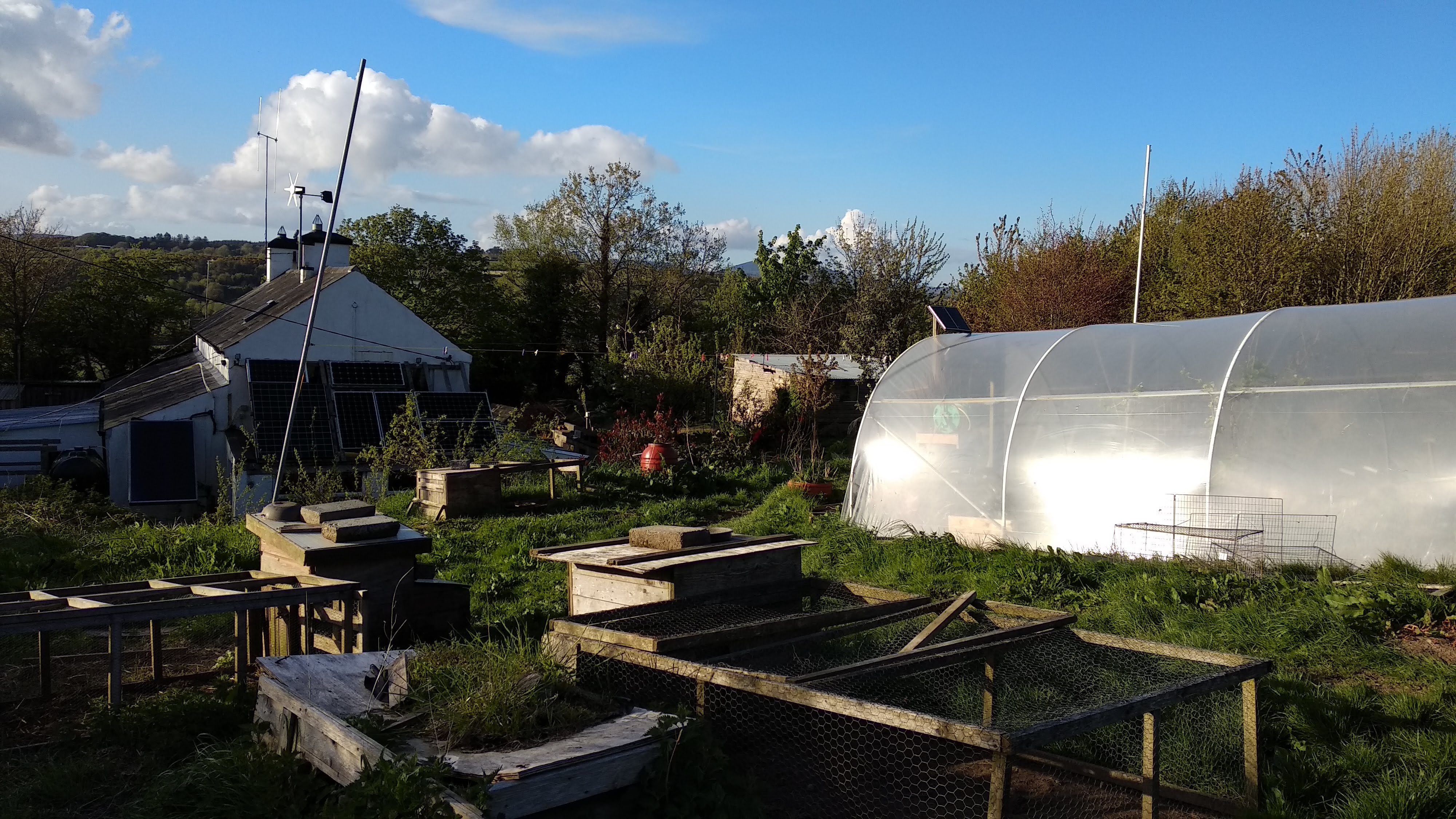 House, Poly Tunnel & Chicken Houses
